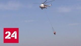 Природные пожары в Мурманской области тушат с помощью авиации МЧС - Россия 24