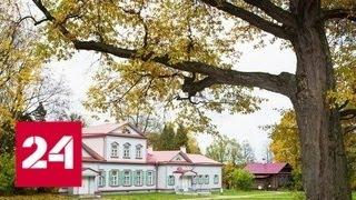 Дуб из подмосковной усадьбы Абрамцево - один из победителей конкурса деревьев с историей - Россия 24