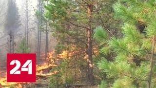 В Приморье продолжают свирепствовать пожары - Россия 24