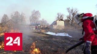 Отследить пожар в лесу теперь можно по приложению - Россия 24