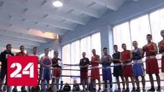 В Макеевке проходит финал республиканских студенческих спортивных игр по боксу - Россия 24