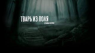 Страшные истории - Оно вылезло из поля