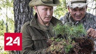 Выходные на природе: Путин, Шойгу и Бортников прогулялись по тувинской тайге - Россия 24
