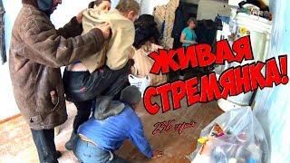 One day among homeless!/ Один день среди бомжей/ 238 серия - Живая стремянка !(18+)