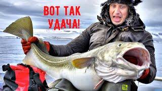 Смешные рыбаки 2020/Девушки на рыбалке/Приколы на рыбалке/Весёлая рыбалка