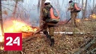 Пожары на Дальнем Востоке локализованы и будут устранены - Россия 24