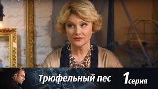 Трюфельный пес -  Серия 1/ 2017 / Сериал / HD 1080p