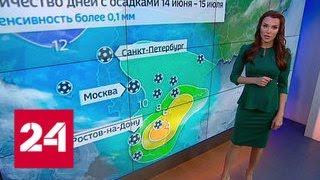 Из-за погоды на чемпионате мира запретят пускать фейерверки и жарить шашлыки - Россия 24