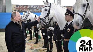 Верхом на гнедом коне: Путин подарил женскому патрулю орловского рысака - МИР 24