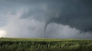 Video Background Stock Footage Free ( Tornado. A powerful whirlwind over a green field )
