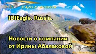 IDIEagle. Russia. Новости о компании от Ирины Абалаковой