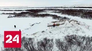 Московские учёные совершили экспедицию на знаменитые воронки Ямала - Россия 24