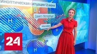 "Погода 24": будет ли передышка от жары - Россия 24