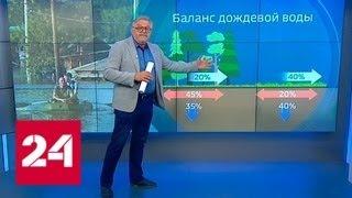 Причиной наводнения в Тулуне могла стать бесконтрольная вырубка лесов - Россия 24