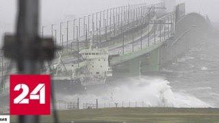 Тайфун "Джеби" выбросил на берег несколько сухогрузов - Россия 24