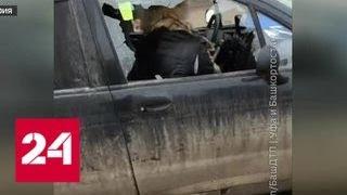 В Башкирии пьяная автоледи изрубила машину топором - Россия 24