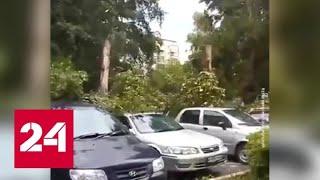 Мощный ураган обрушился на Барнаул - Россия 24