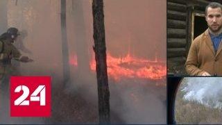 Пожары под Иркутском вызвал перехлест проводов
