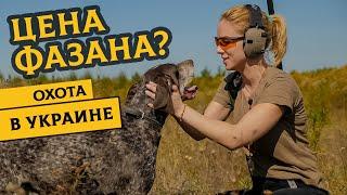 Сезон охоты на фазанов открыт: Татьяна Яшкина расскажет, как, где и с чем охотиться на фазана!