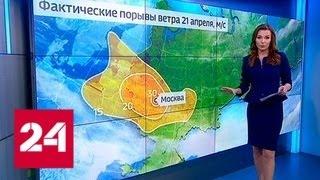 "Погода 24.: ветер в Москве не дорос до урагана - Россия 24