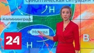 "Погода 24": в первый день весны даже на юге России пошел снег - Россия 24