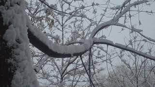 Релакс природа музыка для души и жизни 40