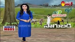 Sakshi Sagubadi - 3rd November 2020 | Sakshi Tv