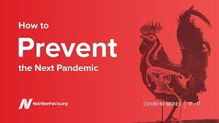 How to Prevent the Next Pandemic PLUS Dr. Greger's New Book