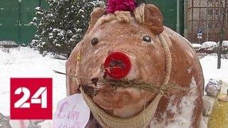 Снежные бабы и поросята: москвичи соревнуются в конкурсе снеговиков - Россия 24