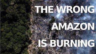 The Wrong Amazon Is Burning