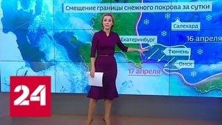 "Погода 24": в Сибирь и на Урал прорвался ледяной арктический воздух - Россия 24