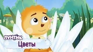 Цветы 