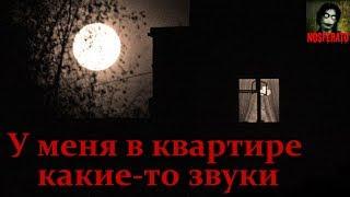 Истории на ночь - У меня в квартире какие-то звуки