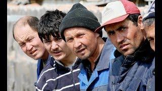 Узбекистанцам напомнили об изменении сроков регистрации в России после ЧМ