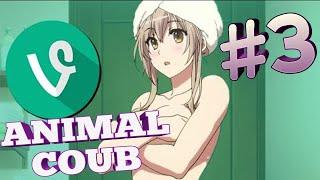 АНИМАЛ BEST COUB #3 | mega coub / mycoubs / лучшие приколы за июль 2019 / аниме / anime amv / gif
