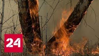 Почти 200 очагов природных пожаров потушены за сутки в российских регионах - Россия 24