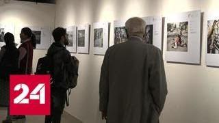 В Индии проходит выставка молодых фотожурналистов - Россия 24