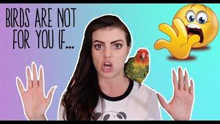 10 People who should NEVER Get a Parrot | WATCH THIS Before Getting a Parrot