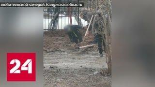 В Малоярославце образовалось болото, в котором чуть не погиб ребенок - Россия 24