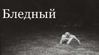 Бледный - Страшные истории на ночь - Страшилки на ночь
