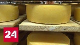 Экспертиза "Дежурной части": какой сыр  подделывают чаще всего - Россия 24
