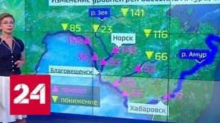 "Погода 24": паводок в Амурской области в ближайшее время может добраться до крупных городов - Рос…