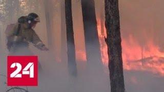 В Иркутской области лесной пожар едва не уничтожил одно из сел - Россия 24