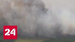В Якутии возбудили уголовное дело против поджигателя леса