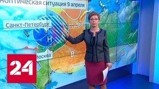 "Погода 24": в Санкт-Петербурге выпал снег - Россия 24