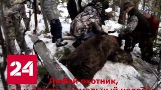Убил медведя в берлоге: губернаторская охота взорвала соцсети - Россия 24