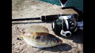 Рокфишинг в Туапсе. Смарида. 02.05.17. Rockfishing in Tuapse.Spicara smaris