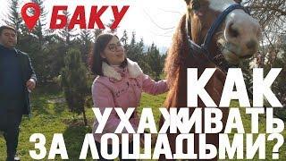 Как ухаживать за лошадьми | Конный спорт в Азербайджане | Наташа в Баку (2019) | Часть 1