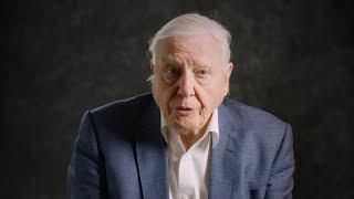 David Attenborough explains what we need to do to stop over-fishing