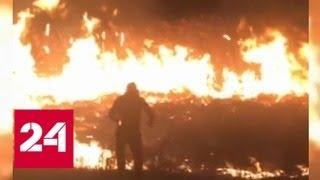 Ростовчане устроили ландшафтный пожар ради "горячего" видео - Россия 24